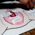 poster anatomia vulva violetab